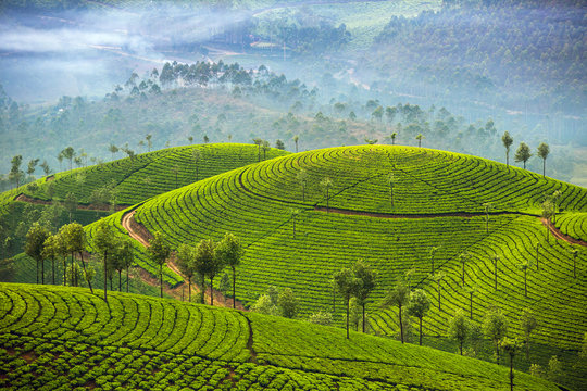 Kerala Honeymoon special 7D6N